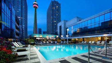 The Various Kinds of Toronto Hotels