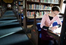 How You Can Write My Dissertation with Elements